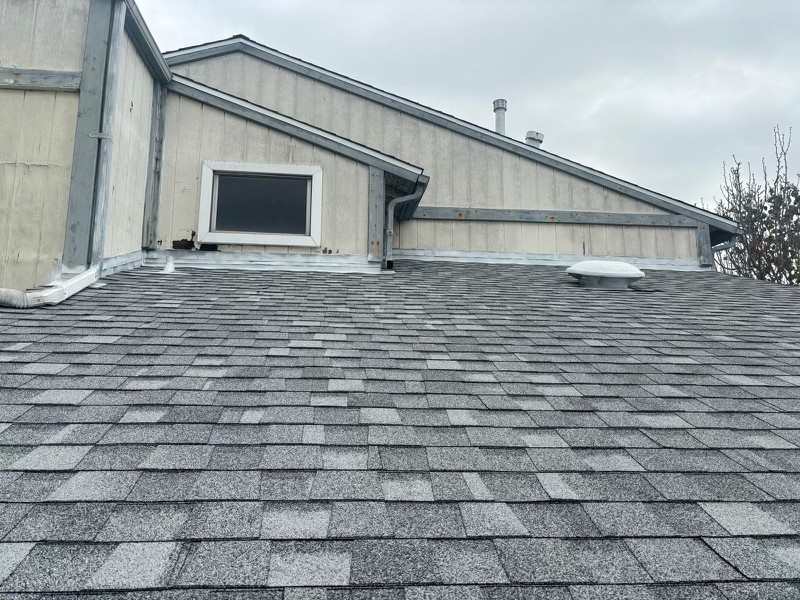 Gray asphalt shingle roof slope beside a light wall with a window, gutter and round vent
