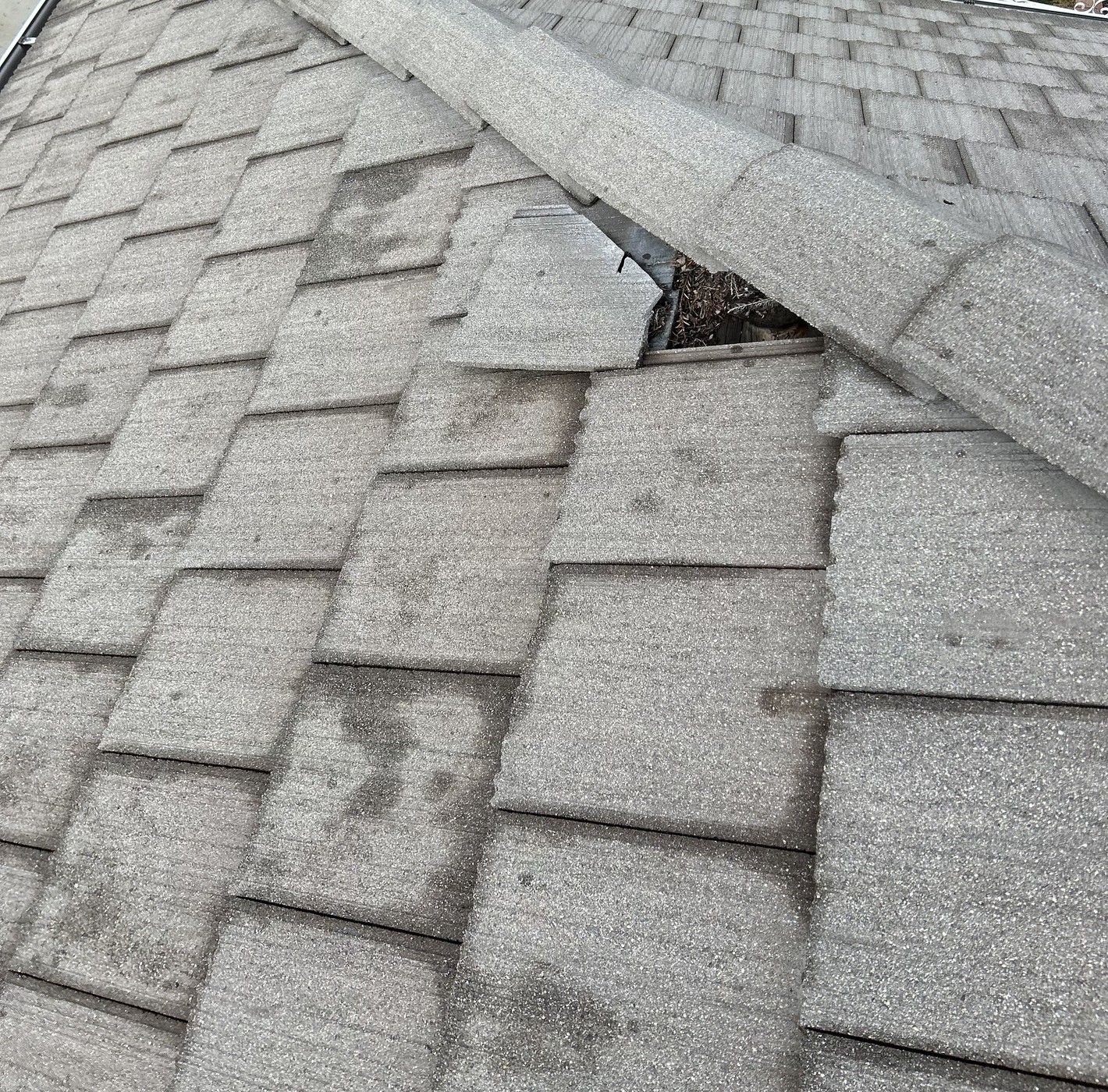 Gray granulated roof covering where hip cap pieces are missing, leaving a gap over metal flashing and dried leaf debris